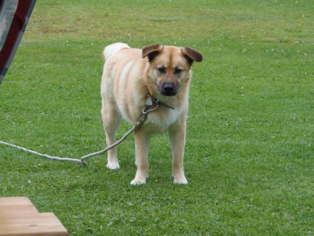 ../fotos/het_verlaat_2017/2017-07-15 12.23.37.jpg